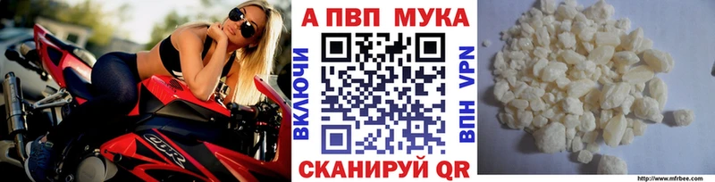 Купить закладки  Кадников  Alpha PVP СК 