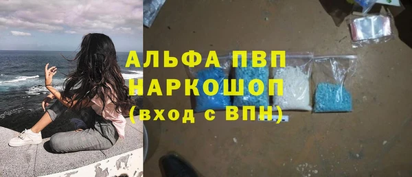 хмурый Инта