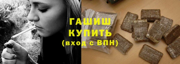 хмурый Инта