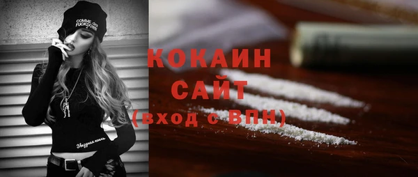 хмурый Инта
