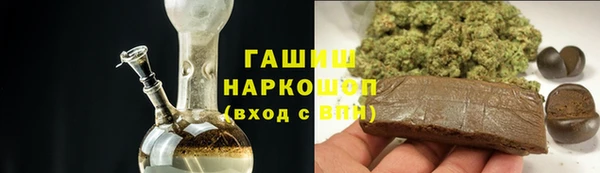 хмурый Инта