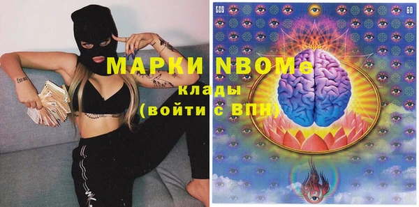 хмурый Инта