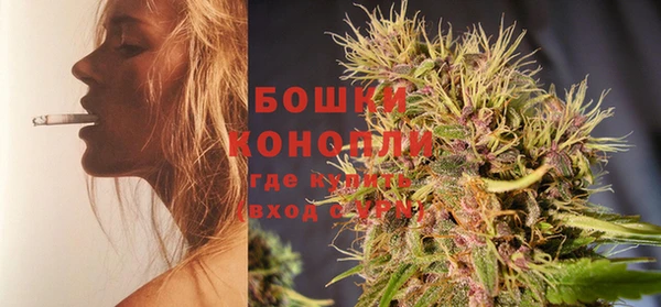 хмурый Инта