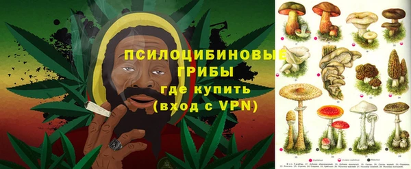 хмурый Инта