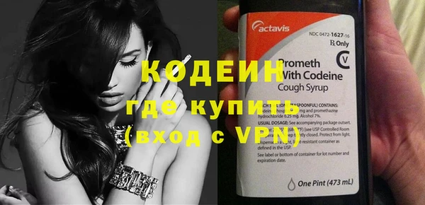 хмурый Инта