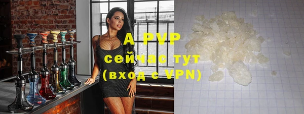 хмурый Инта