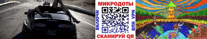 Купить Кадников Галлюциногенные грибы Psilocybe