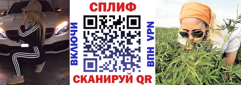 Купить закладки Кадников МАРИХУАНА AK-47
